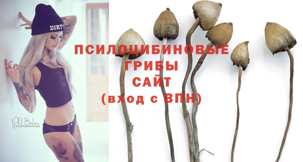 марки nbome Козловка