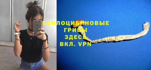 спиды Карталы