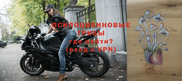 ПСИЛОЦИБИНОВЫЕ ГРИБЫ Магас